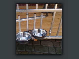 ScreenHunter_477 Nov. 29 21.40.jpg